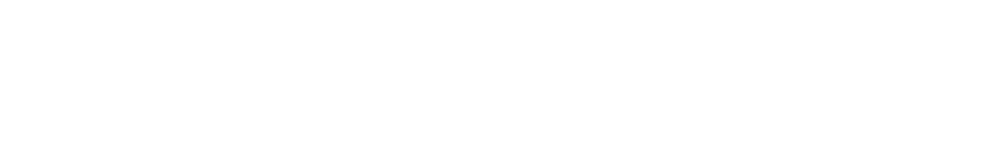 Noella Care Logo and Strap